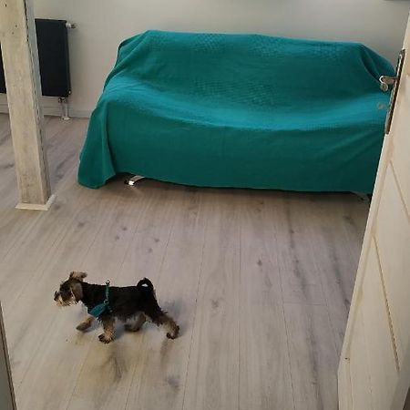 Apartament Witkacego Zielony สวูพสค์ ภายนอก รูปภาพ