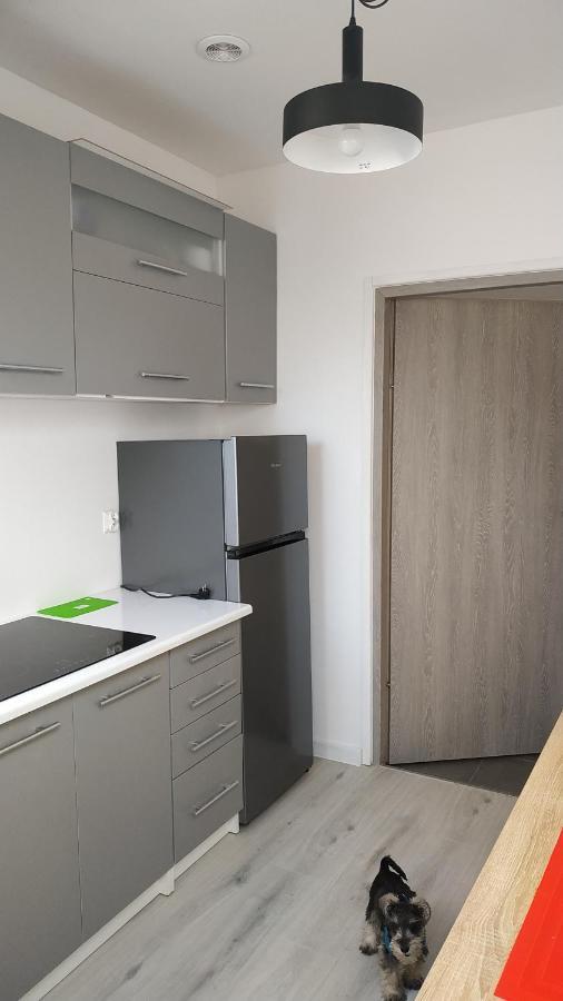 Apartament Witkacego Zielony สวูพสค์ ภายนอก รูปภาพ